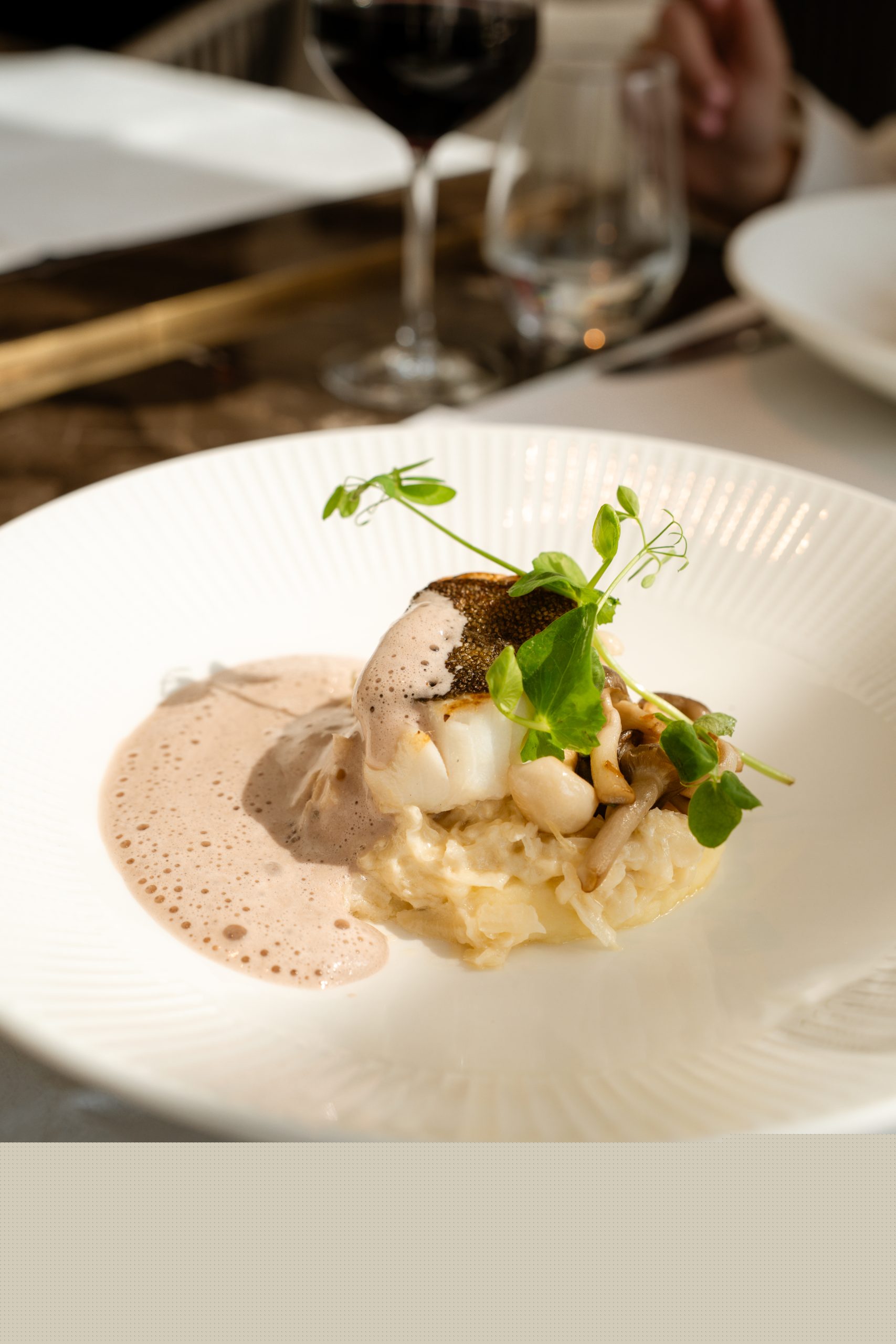 gerecht 2